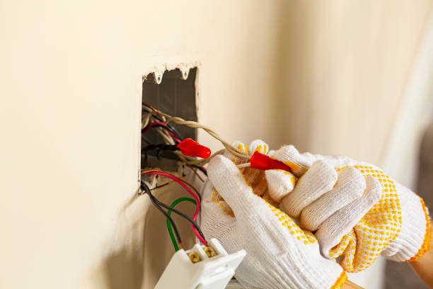 Best Electrical Panel Upgrades  in Ettrick, VA