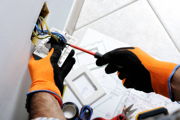 Best Electrical Maintenance Services  in Ettrick, VA